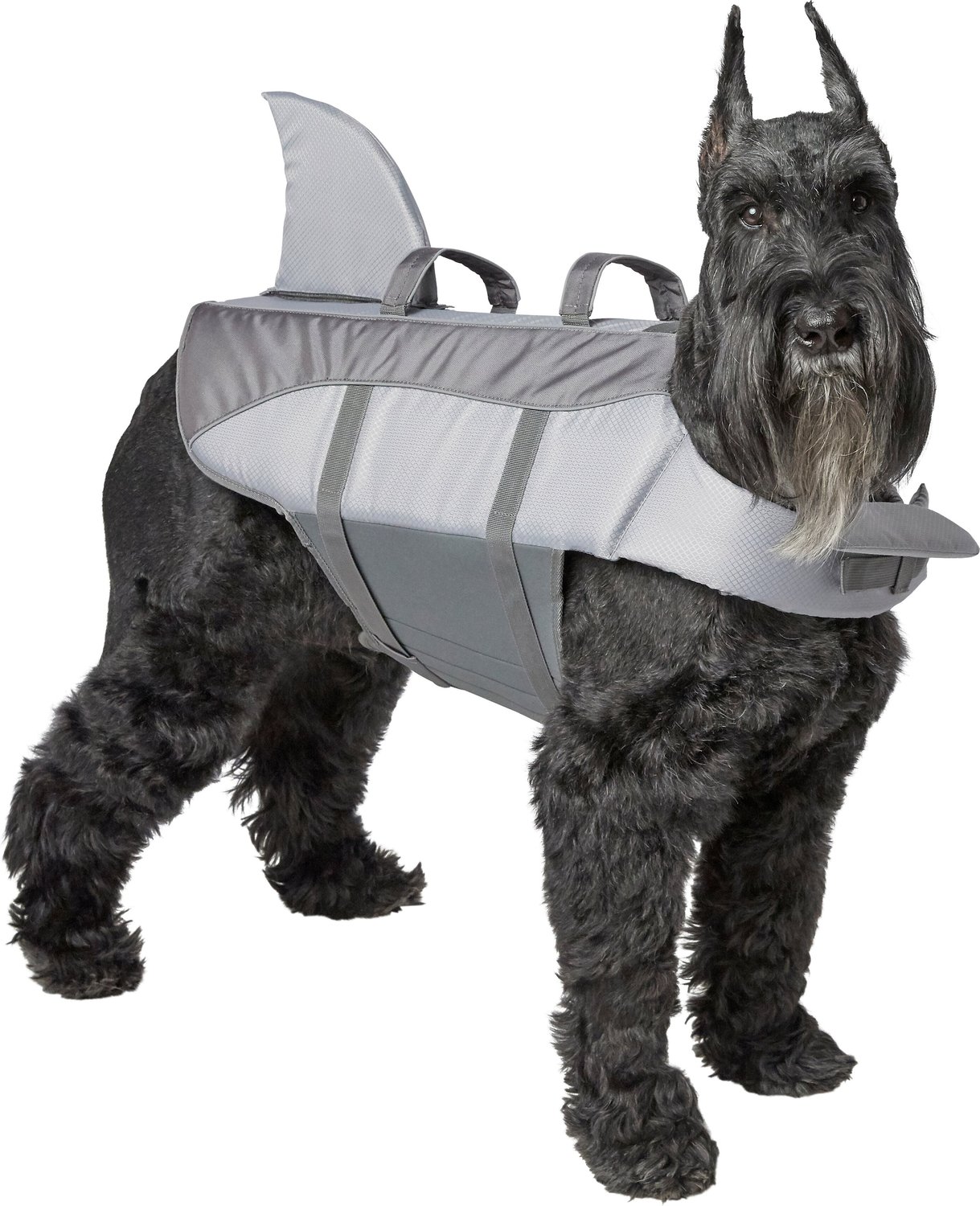 Frisco Shark Dog Life Jacket