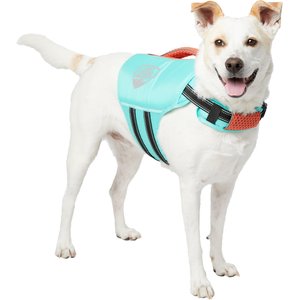 finding nemo dog life jacket