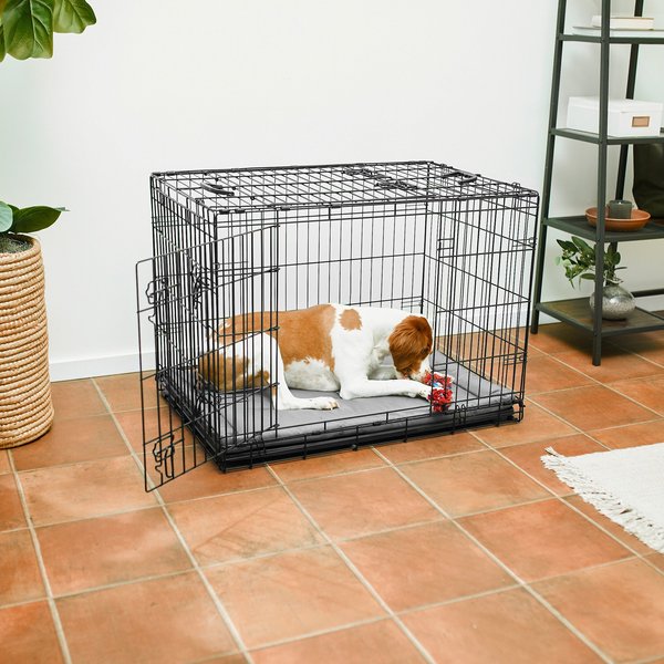 Frisco Heavy Duty All-in-1 Multi-Stage 3 Door Collapsible Wire Dog Crate, Med/Large slide 1 of 8