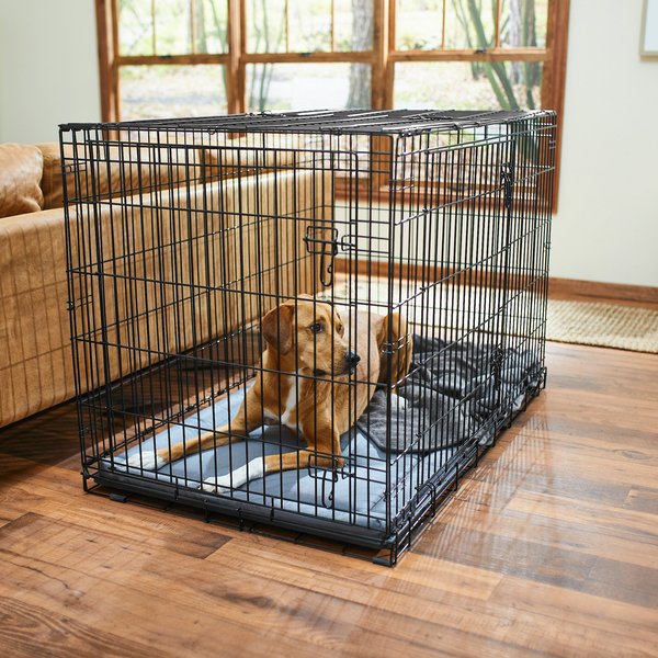 Frisco Heavy Duty All-in-1 Multi-Stage 3 Door Collapsible Wire Dog Crate, X-Large, 49-in L x 31-in W x 33-in H slide 1 of 10