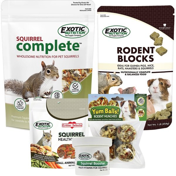 EXOTIC NUTRITION Squirrel Food Starter Kit