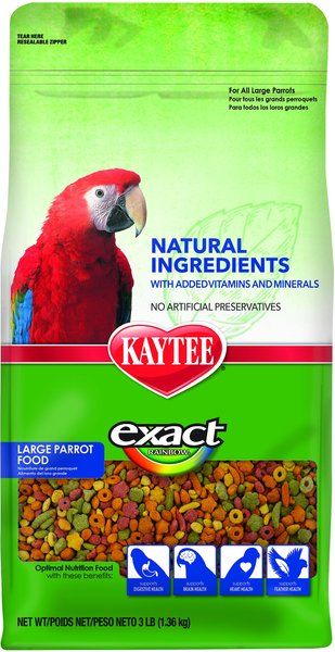 kaytee exact rainbow large parrot food