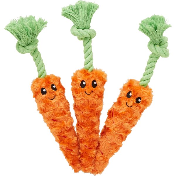 Woof & Whiskers Rope Dog Toy - Carrot - Shop Plush Toys at H-E-B