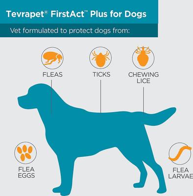 Show full view: TevraPet FirstAct Plus Flea & Tick Treatment for Dogs, 6 - 22lbs, 3 Doses (3-mos. supply) slide 3 of 9