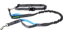 Jespet Bungee Reflective Standard Dog Leash, Blue