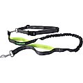 Jespet Bungee Reflective Standard Dog Leash, Green