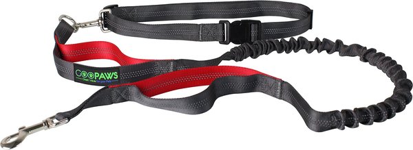 Jespet Bungee Reflective Standard Dog Leash, Red slide 1 of 7