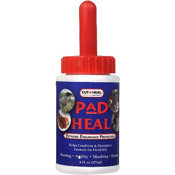 Manna Pro Cut-Heal Pad Heal Extreme Endurance Protection Dog & Horse First Aid Treatment, 8-fl oz bottle