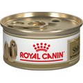 Royal Canin Breed Health Nutrition Shih Tzu Adult Loaf In Sauce Canned Dog Food, 3-oz, case of 24