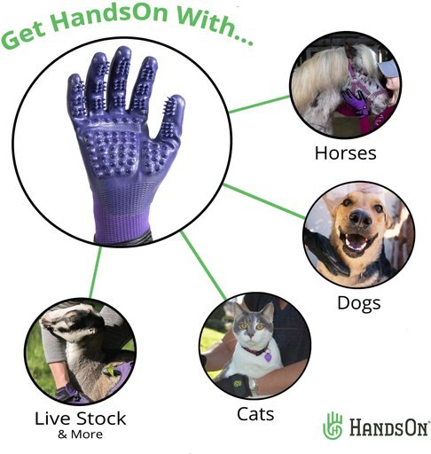 HandsOn All-In-One Pet Bathing & Grooming Gloves, Purple, Medium