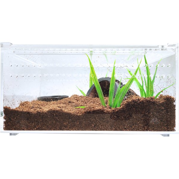 Herpcult Acrylic Insect & Reptile Terrarium, Opaque Top, Small - Chewy.com