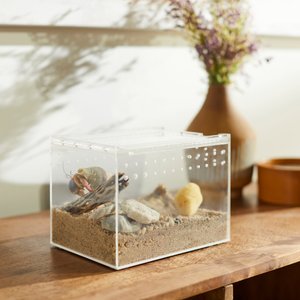 HerpCult Acrylic Insect & Reptile Terrarium, Clear Top, Medium