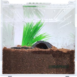 HerpCult Acrylic Insect & Reptile Terrarium, Clear Top, Medium