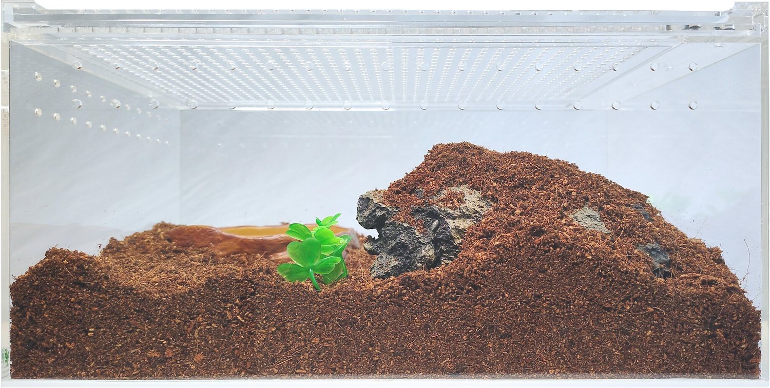 HERPCULT Acrylic Insect & Reptile Terrarium, Opaque Top, Large - Chewy.com