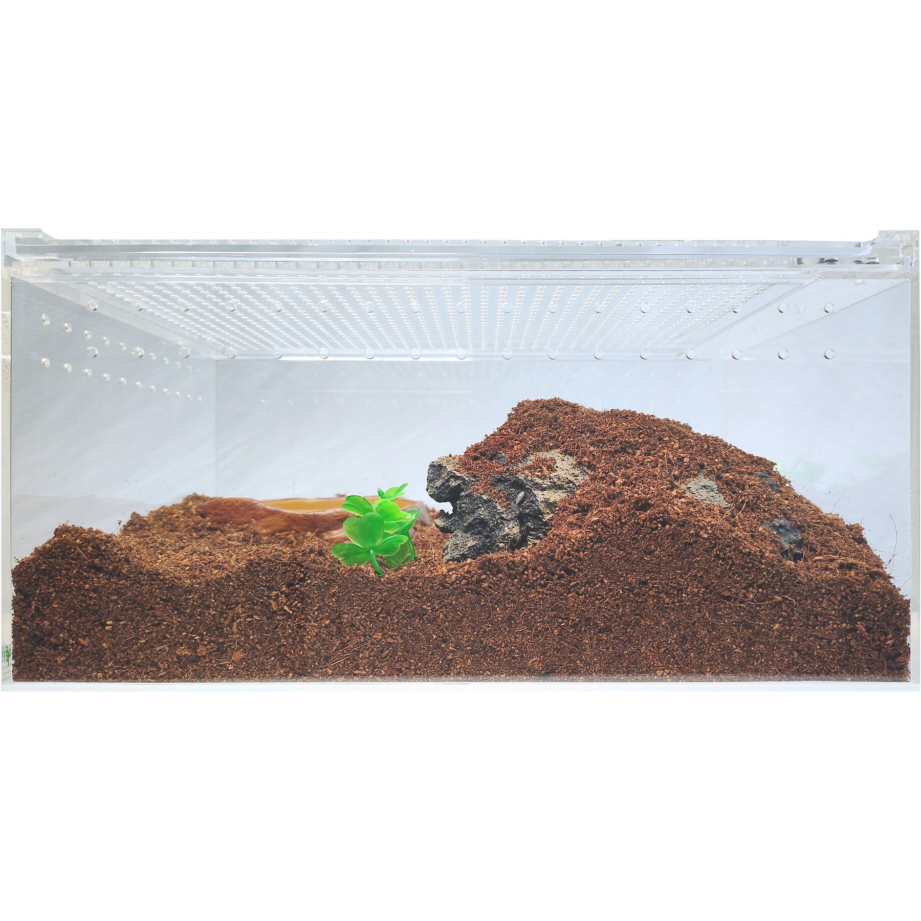 HERPCULT Acrylic Insect & Reptile Terrarium, Opaque Top, Large - Chewy.com