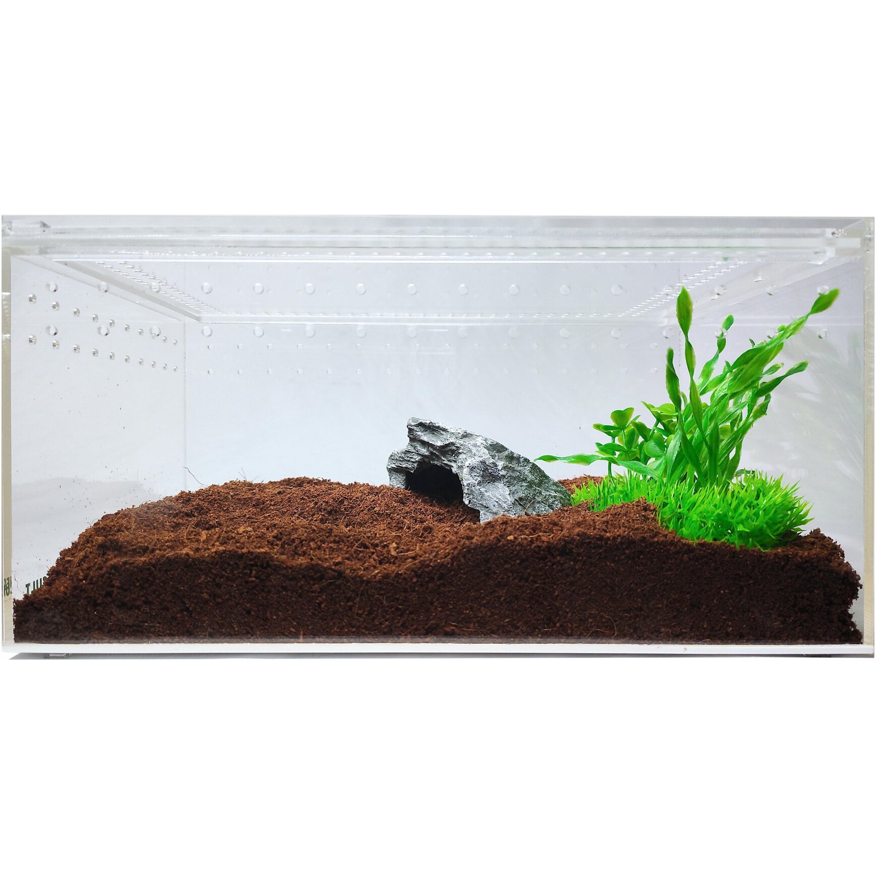 HERPCULT Acrylic Insect & Reptile Terrarium, Clear Top, Large - Chewy.com