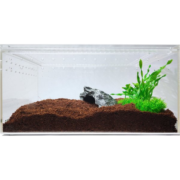 10 gallon clearance reptile starter kit