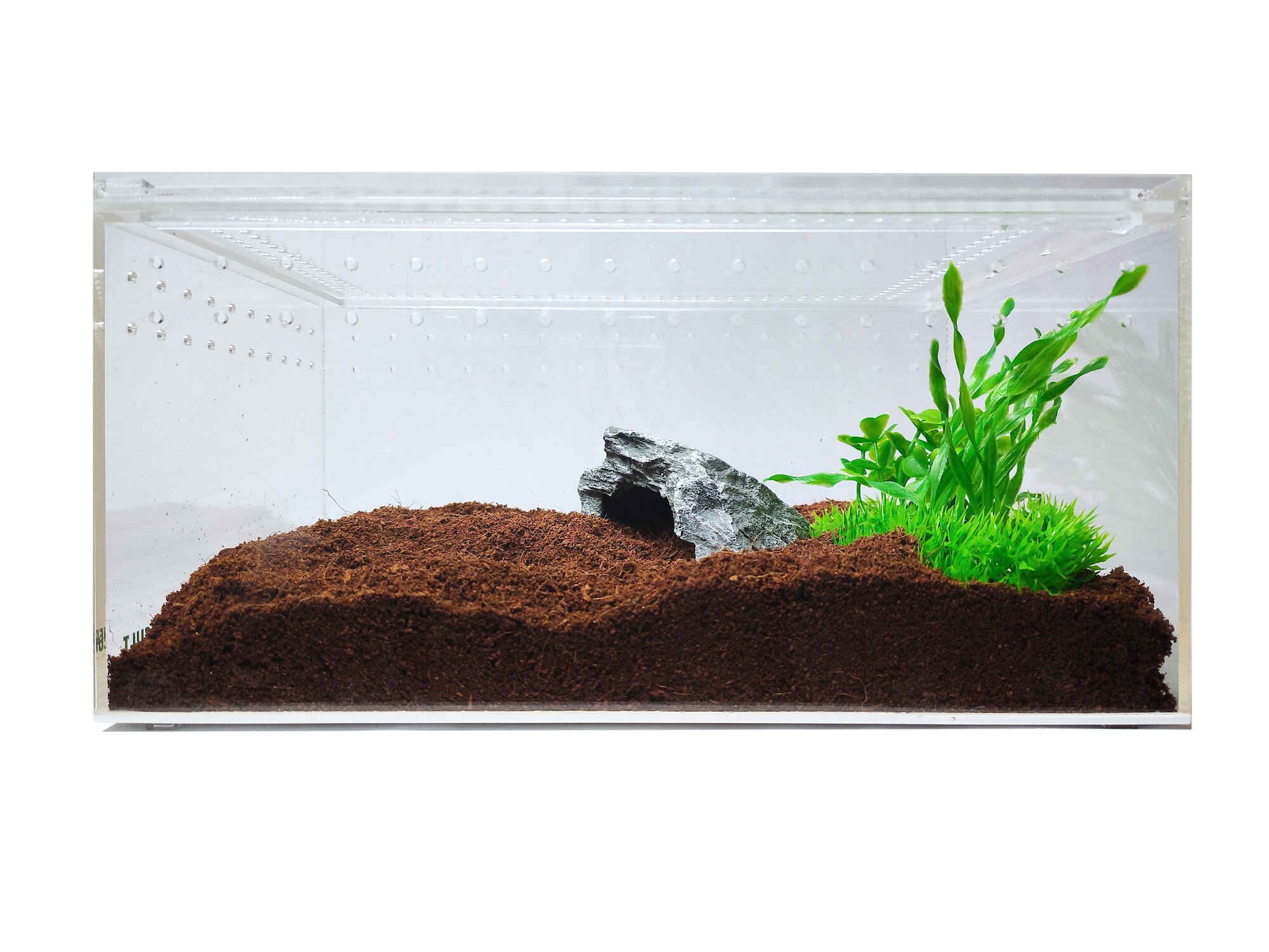 HERPCULT Acrylic Insect & Reptile Terrarium Customer Questions - Chewy.com