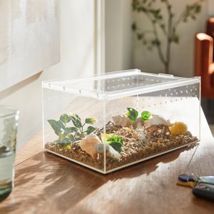 HerpCult Acrylic Insect & Reptile Terrarium, Clear Top, Large