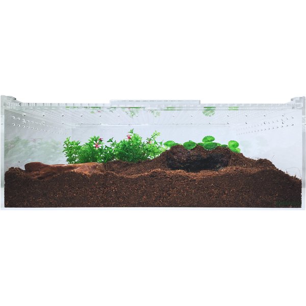 HERPCULT Acrylic Insect & Reptile Terrarium, Opaque Top, X-Large ...