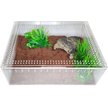 HERPCULT Acrylic Insect & Reptile Terrarium, Clear Top, X-Large - Chewy.com