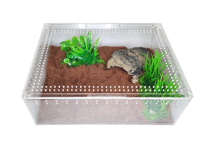Available in 4 Sizes Clear Acrylic Reptile Breeding Feeding Terrarium Case 