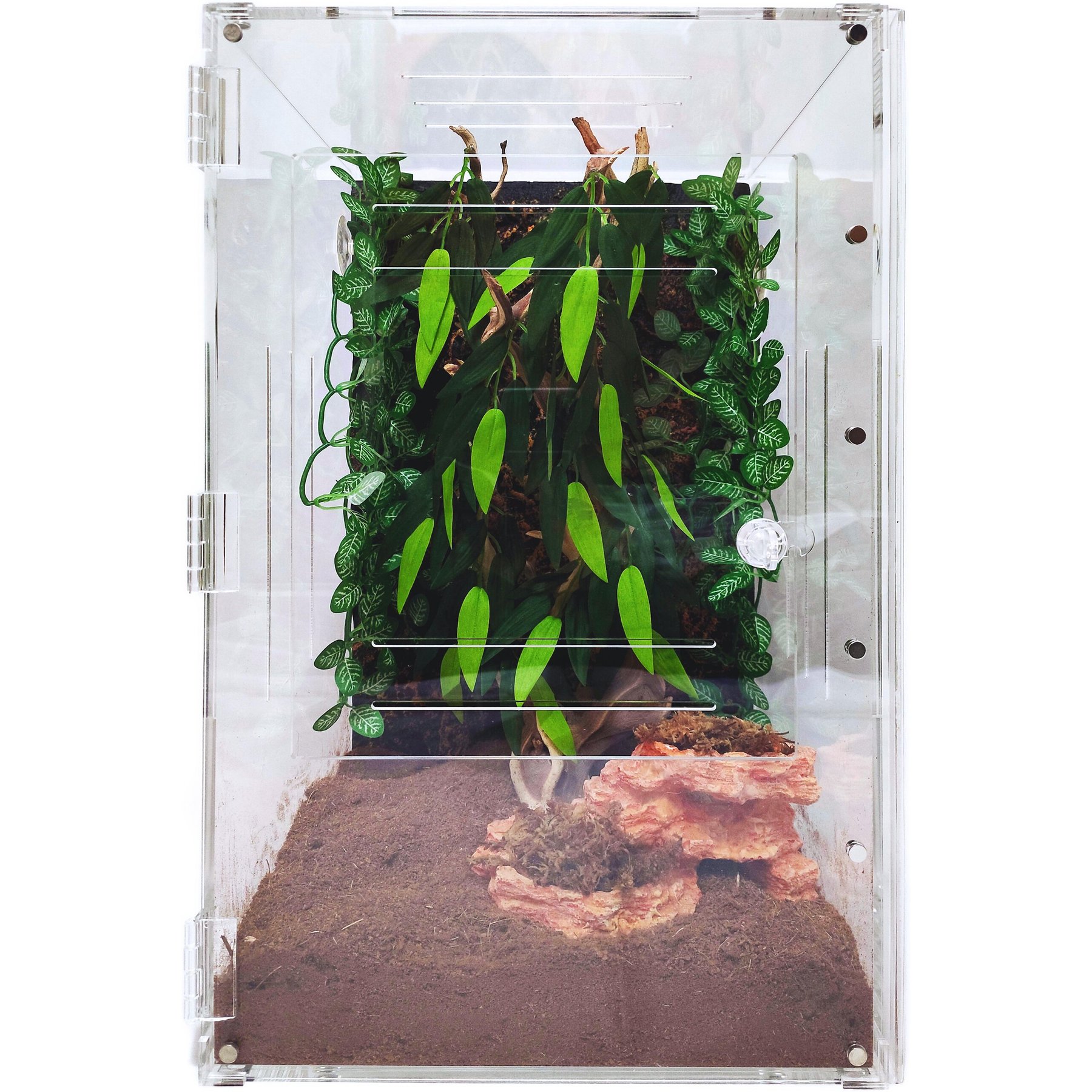 HERPCULT Two-Way Acrylic Insect & Reptile Terrarium, X-Large - Chewy.com