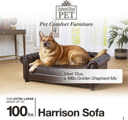 Show full view: Enchanted Home Pet Harrison Dog Sofa, Pebble Brown, Large slide 5 of 9