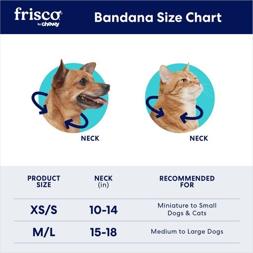 Frisco Dog & Cat Birthday Bandana, X-Small/Small