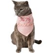 Pup Crew Small & Medium Breeds Pink Floral Dog & Cat Bandana, X-Small/Small
