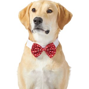 Frisco Polka Dot Dog & Cat Bow Tie, X-Small/Small, Red