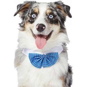 Frisco Plaid Dog & Cat Bow Tie, Medium/Large, Blue
