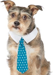 Frisco Polka Dot Dog & Cat Neck Tie, Teal, X-Small/Small