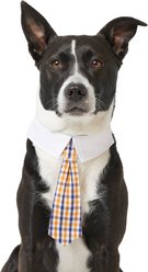 Frisco Plaid Dog & Cat Neck Tie, Orange & Blue, X-Small/Small