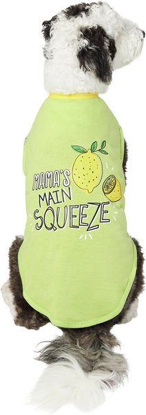 Frisco Mama's Main Squeeze Dog & Cat T-Shirt, Medium slide 1 of 6