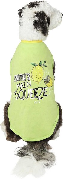 Frisco Mama's Main Squeeze Dog & Cat T-Shirt, XX-Large slide 1 of 6