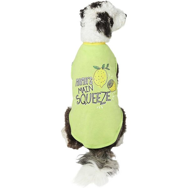 Frisco Beach Hunk Dog & Cat Tank-Top