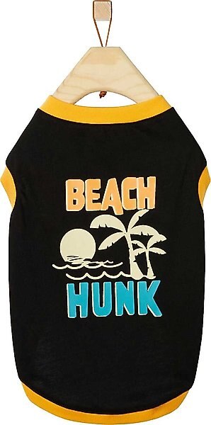 Frisco Beach Hunk Dog & Cat T-Shirt, Large slide 1 of 6
