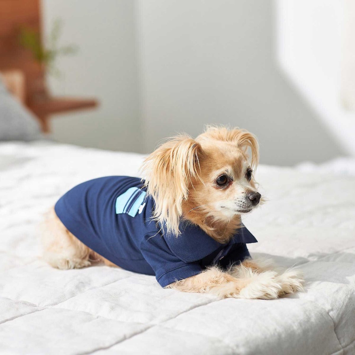 Frisco Dog & Cat Polo Shirt with Accent Pocket