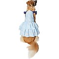 Frisco Blue Daisies Dog & Cat Dress, X-Small