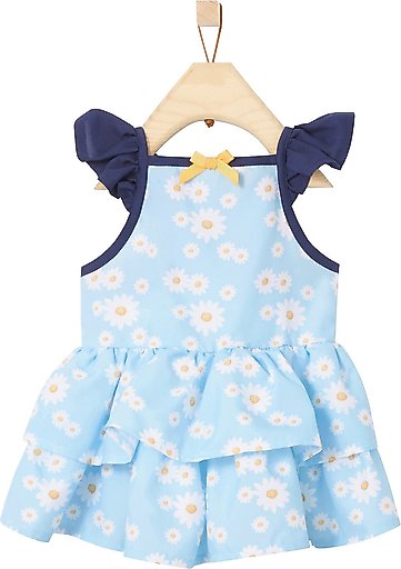 Frisco Blue Daisies Dog & Cat Dress, Small