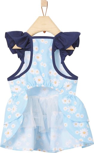 Frisco Blue Daisies Dog & Cat Dress, Small