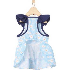 Frisco Blue Daisies Dog & Cat Dress, Medium