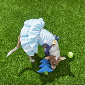 Frisco Blue Daisies Dog & Cat Dress, Medium