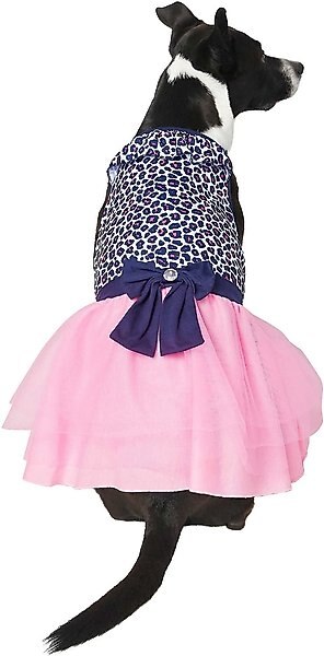 Frisco Leopard Print Dog & Cat Dress, Small slide 1 of 7