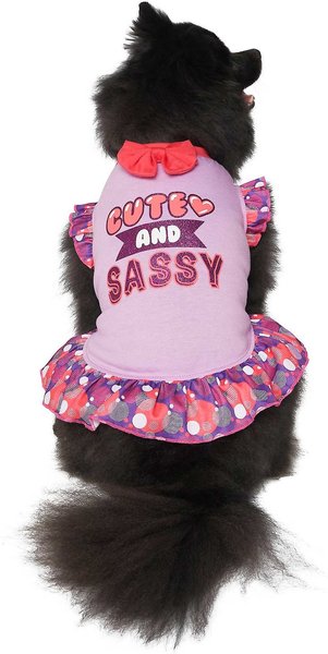 Frisco Cute & Sassy Dog & Cat Dress, Small slide 1 of 8