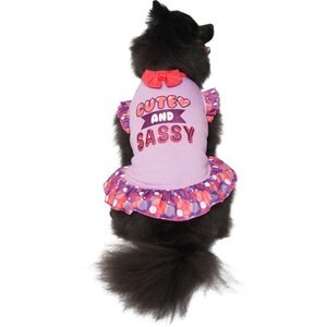 Frisco Cute & Sassy Dog & Cat Dress, Large