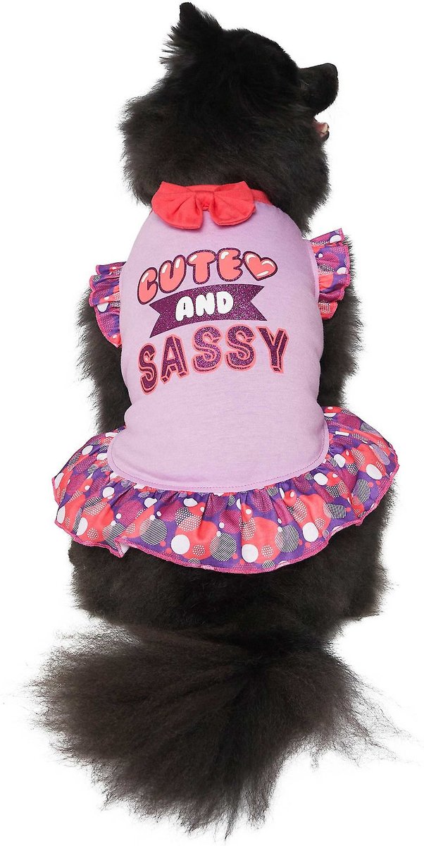 FRISCO Cute & Sassy Dog & Cat Dress, XX-Large 