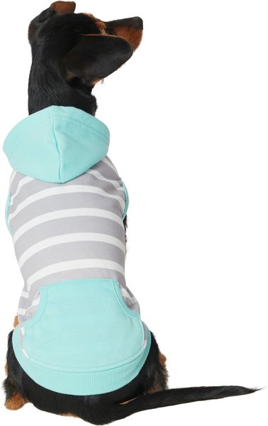Frisco Striped Colorblock Dog & Cat Hoodie, Teal, X-Small slide 1 of 7