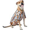 Button Up Shirts